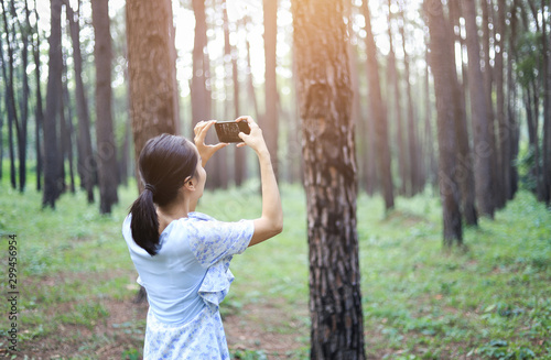 girl taking photo of nature pine tree in forest 