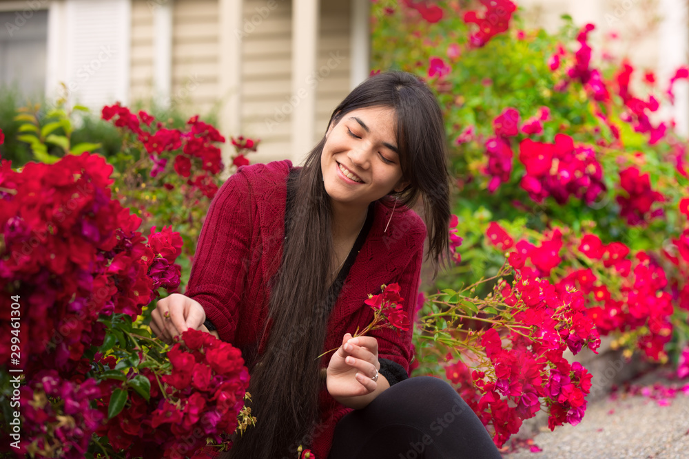 Young woman sitting in red  rose bushes picking flowers