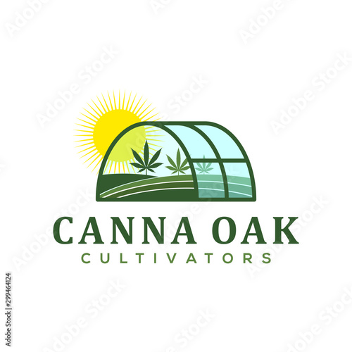 Cbd Cannabidiol logo for legal treatment, active ingredient plant