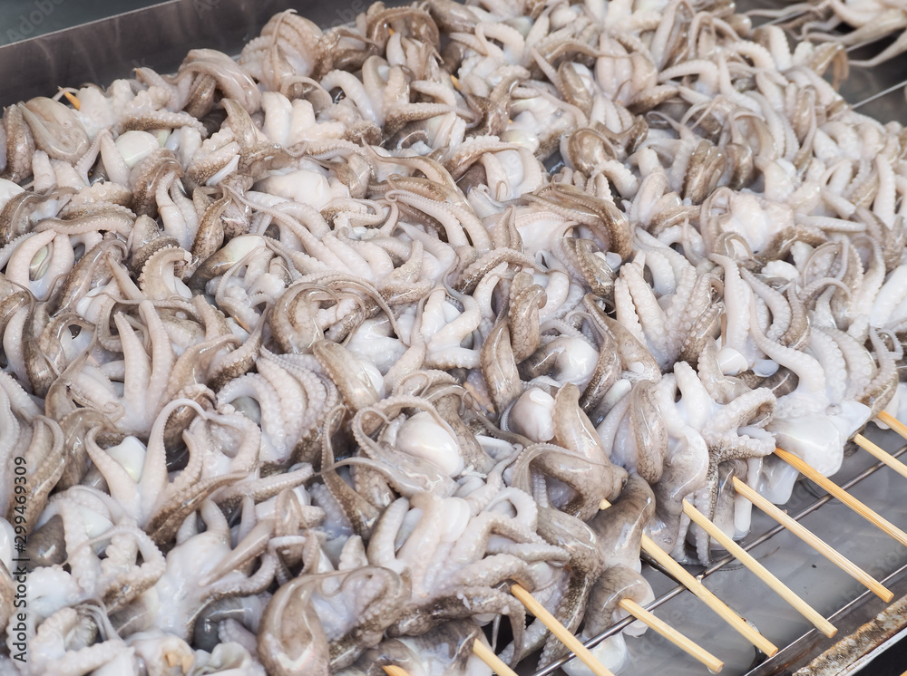 Fresh squid for sale at seafood market. White fresh squid seafood in market. Fresh squid for sale at seafood market. White fresh squid seafood in market.