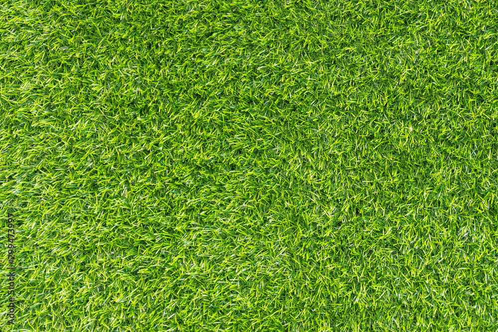 Fototapeta premium Green Grass background