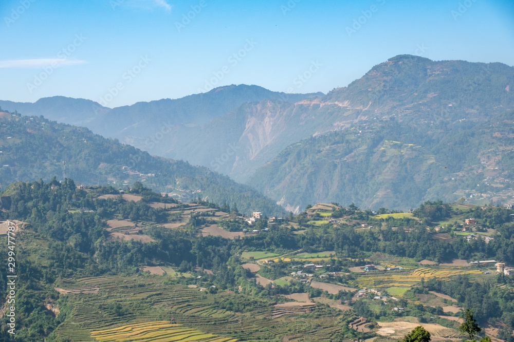 Farming in the Himalayan Foothills