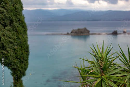 Beautiful view of Chrysochou Bay with green plants in the foreground, Cyprus.