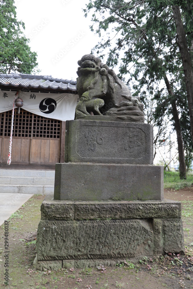 Obraz premium 久伊豆神社の狛犬像