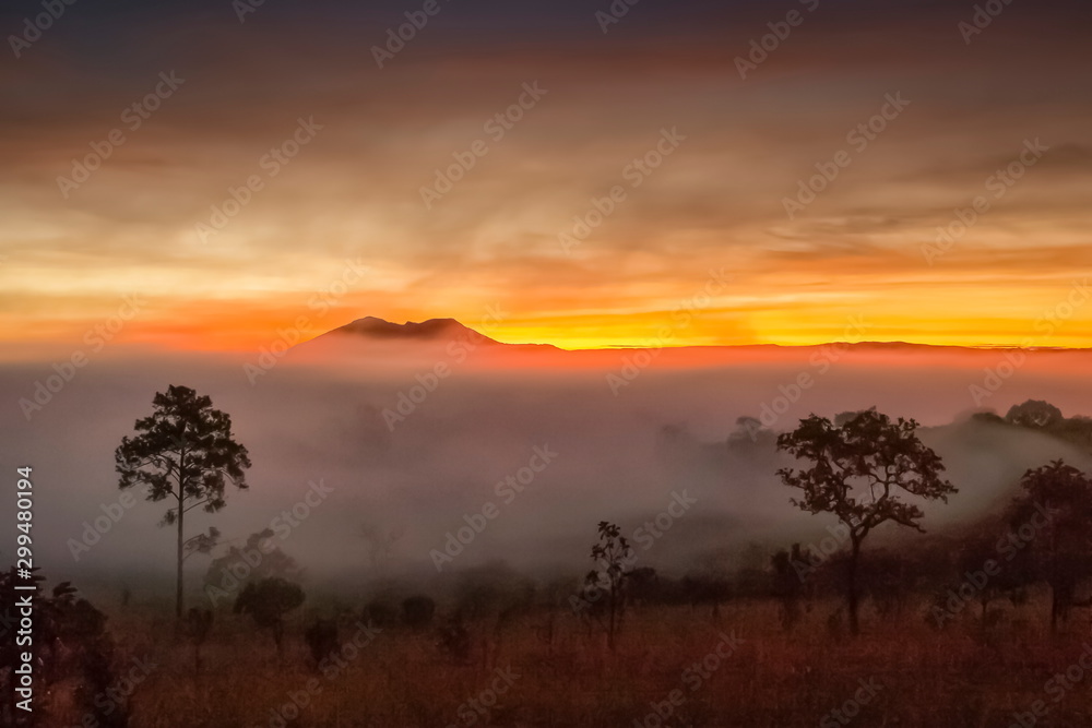Mountain view morning of peak mountain on meadow grass field around with the ocean of mist with red sun light in cloudy sky background, sunrise at Thung Salang Luang, Khao Kho, Phetchabun, Thailand.