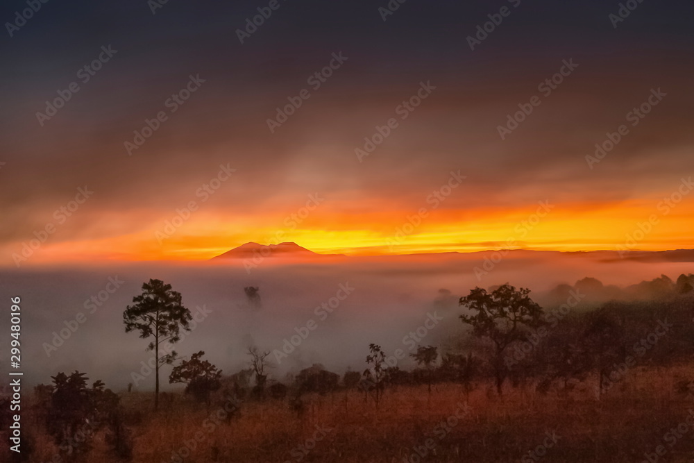 Mountain view morning of peak mountain on meadow grass field around with the ocean of mist with red sun light in cloudy sky background, sunrise at Thung Salang Luang, Khao Kho, Phetchabun, Thailand. Mountain view morning of peak mountain on meadow grass field around with the ocean of mist with red sun light in cloudy sky background, sunrise at Thung Salang Luang, Khao Kho, Phetchabun, Thailand.