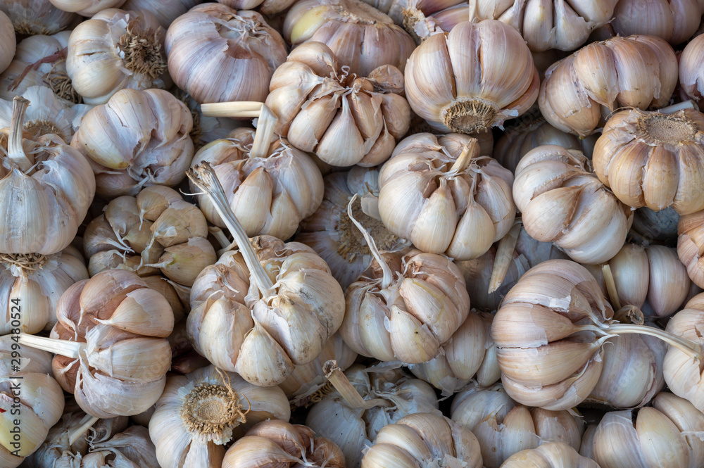 garlic on the market for background