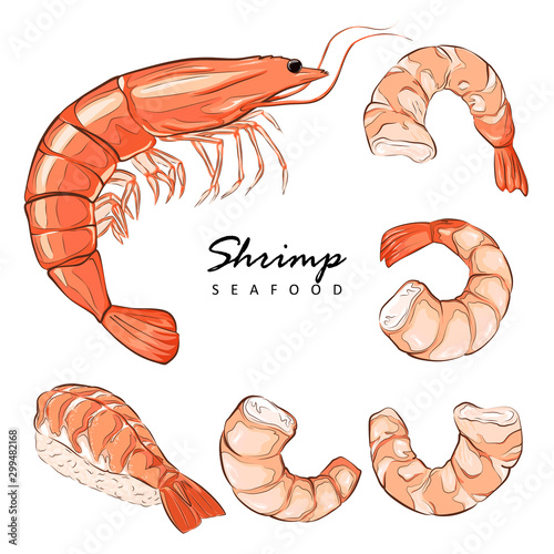 Collection boiled shrimp, shrimps without shell, shrimp meat. Shrimp prawn icons set. Boiled Shrimp drawing on a white background.