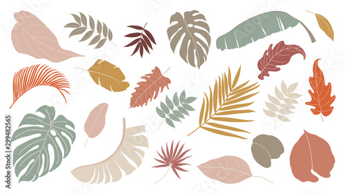 Set of abstract tropical leaves.   Abstract botanical element collection with Earth tone color. Design for natural and floral background pattern, cards and packaging, cosmetics, spa, beauty care.