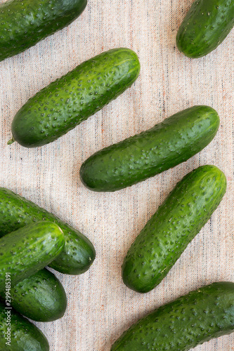 Ripe organic mini baby cucumbers on cloth  top view. Flat lay  overhead  from above.