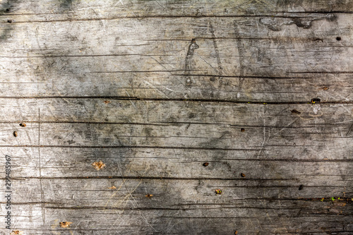 Closeup image of an old wooden board. Shriveled tree trunk. Background. Texture.