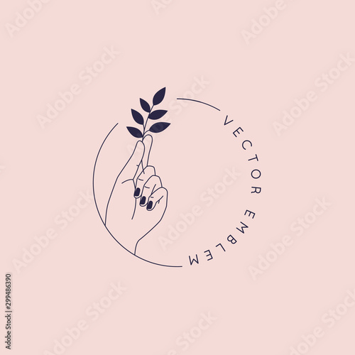 Vector abstract logo and branding design template in trendy linear minimal style - hand holding leaf- concept for natural beauty