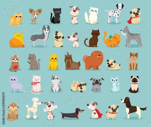 Vector illustration set of cute and funny cartoon pet characters. Different breed of dogs and cats in the flat style