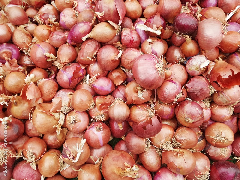 Fresh onion bulbs close-up. Onions in peel and with white roots on the counter of a bazaar or greengrocery. Selective focus image. Fresh onion bulbs close-up. Onions in peel and with white roots on the counter of a bazaar or greengrocery. Selective focus image.