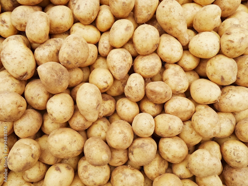 Fresh potato recently dug from field, with pieces of soil, close-up. Brown tubers of young potatoes on counter of bazaar or greengrocery. Selective focus image. Fresh potato recently dug from field, with pieces of soil, close-up. Brown tubers of young potatoes on counter of bazaar or greengrocery. Selective focus image.