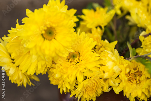 Bouquet of beautiful yellow chrysanthemums