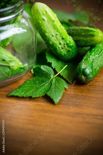 cucumbers and spices with herbs for canning in a jar