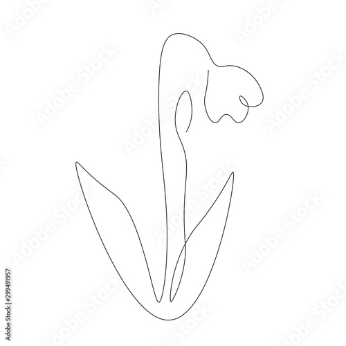 Spring snowdrop one line drawing, vector illustration
