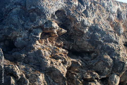 Bryozoan limestone photo