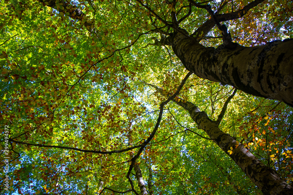 Fototapeta premium Natural landscape with blue sky in Spain