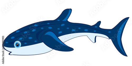 Big whale shark on white background is insulated