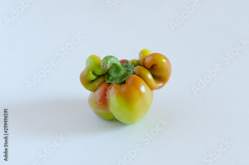 Ugly funny pepper on a white background.