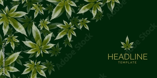  Cannabis leaf, Marijuana herb Vector Background
