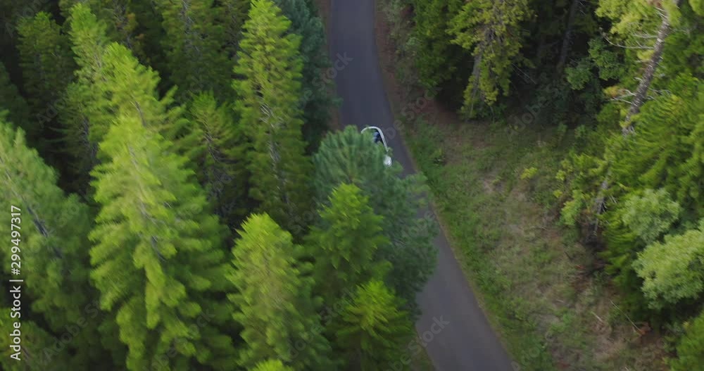 Aerial view of a modern white car driving on a country road surrounded by a green pine tree forest, car driving in nature, green sustainable energy concept Aerial view of a modern white car driving on a country road surrounded by a green pine tree forest, car driving in nature, green sustainable energy concept