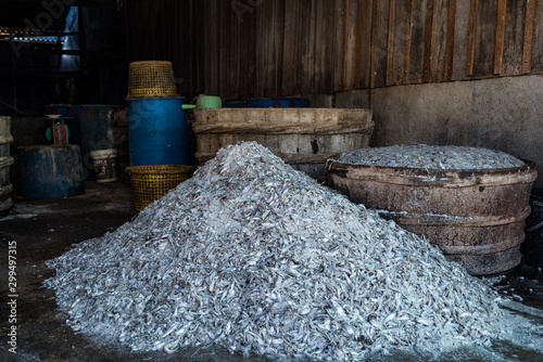 Traditional fermented fish 