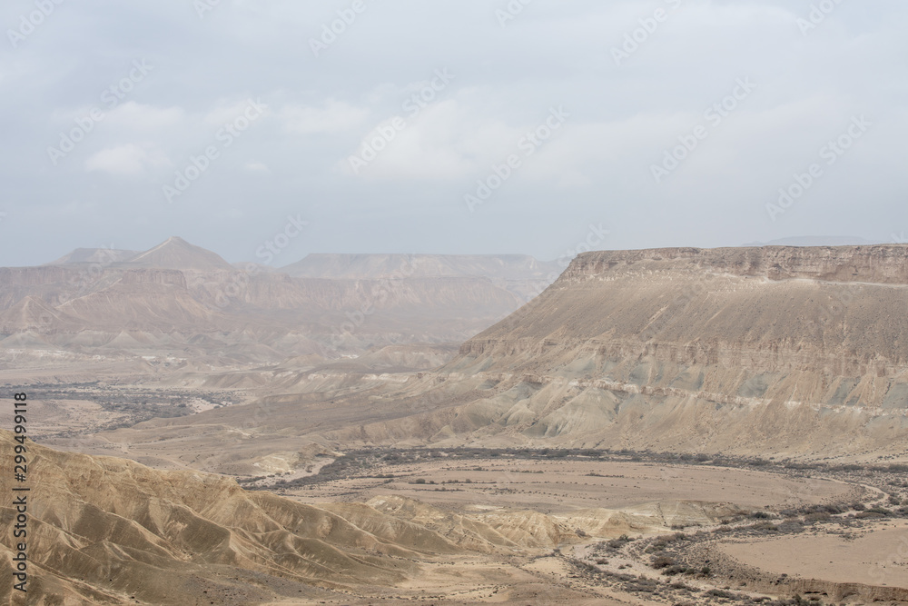 Deserts of Israel II