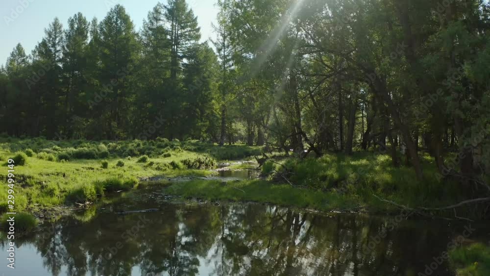 Beautiful aerial shot of a stream running along the forest landscape with sun rays beaming through the trees