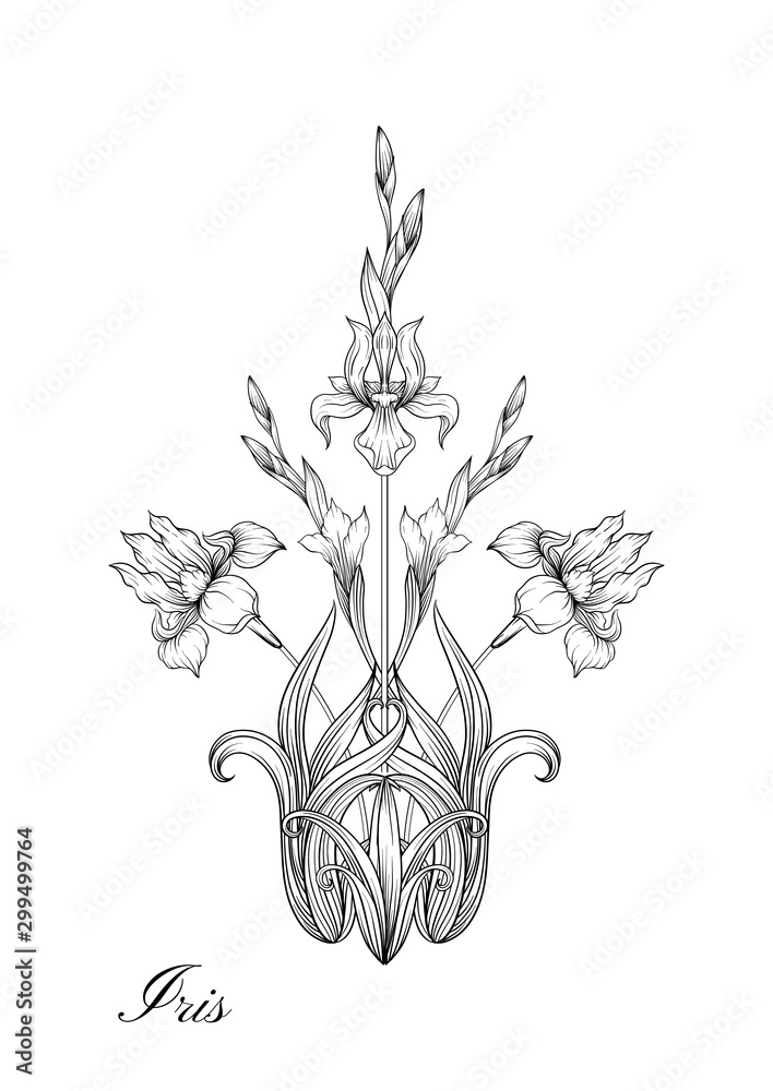 Iris flower, fleur-de-lis, flower-de-luce, flag. Element for design. Outline hand drawing vector illustration. In art nouveau style, vintage, old, retro style. In botanical style.