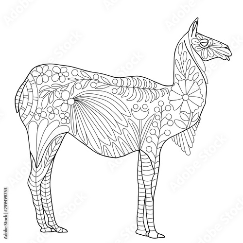 Guanaco zentangle coloring page vector illustration for children and adults