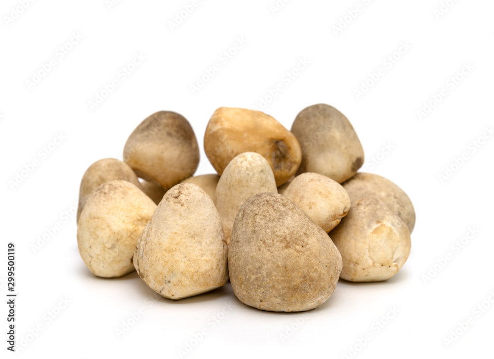 Straw mushroom isolated on white background Straw mushroom isolated on white background