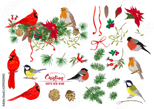 Tit bird, Robin bird, Cardinal bird, Bullfinch Tapéta, Fotótapéta