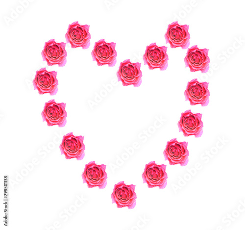Beautiful pink rose Set
