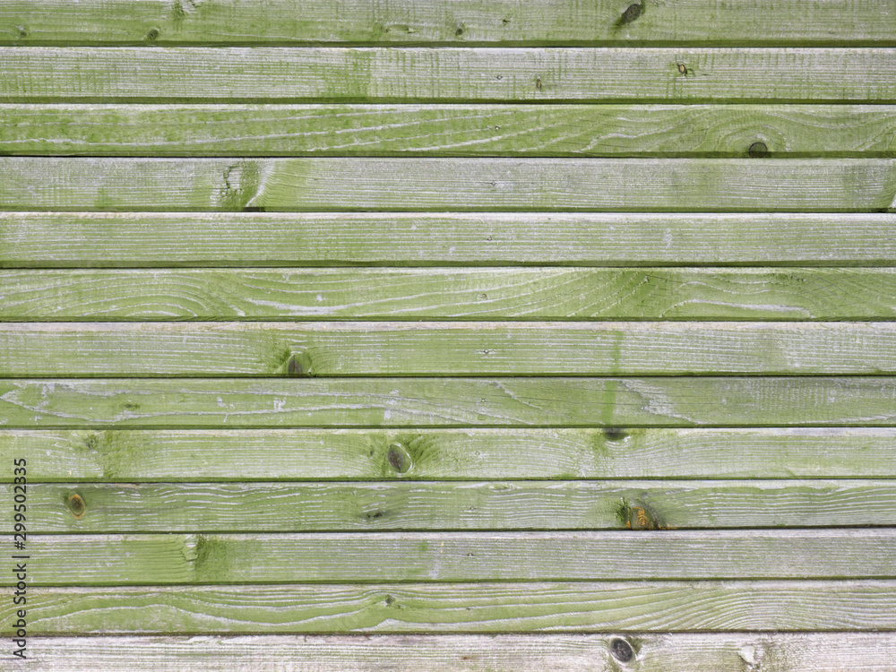 Fototapeta premium Wooden wall made of old aged logs