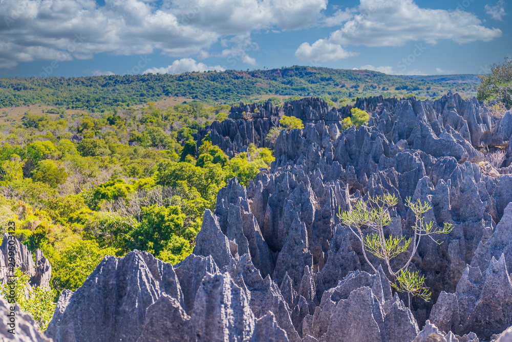 Tsingy de Bemaraha National Park, Madagascar StockFoto Adobe Stock