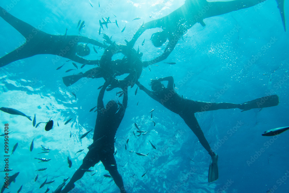 Fototapeta premium Tropikalny świat podwodny