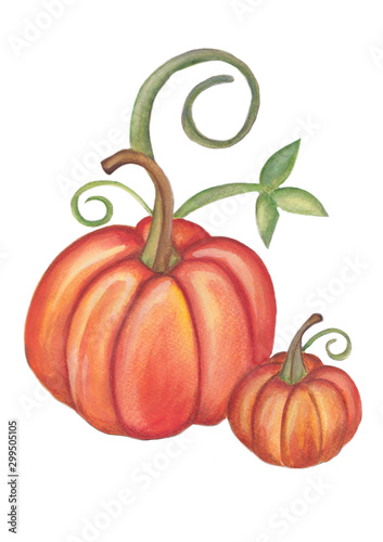 Watercolour Halloween Pumpkin on white background.