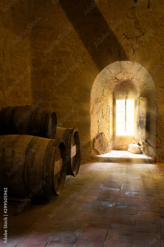 Wine barrels in French medieval castle