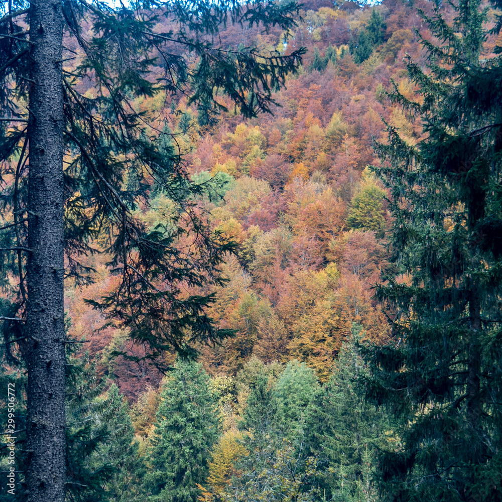 Switzerland, fall colors