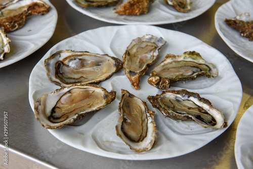 Oysters served on white plate, ready for eat. Oysters from Bordeaux region.
