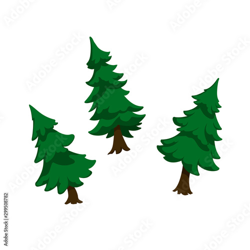 Isolated image of firs. Green pine in cartoon style. Forest tree on white background. Isometric view