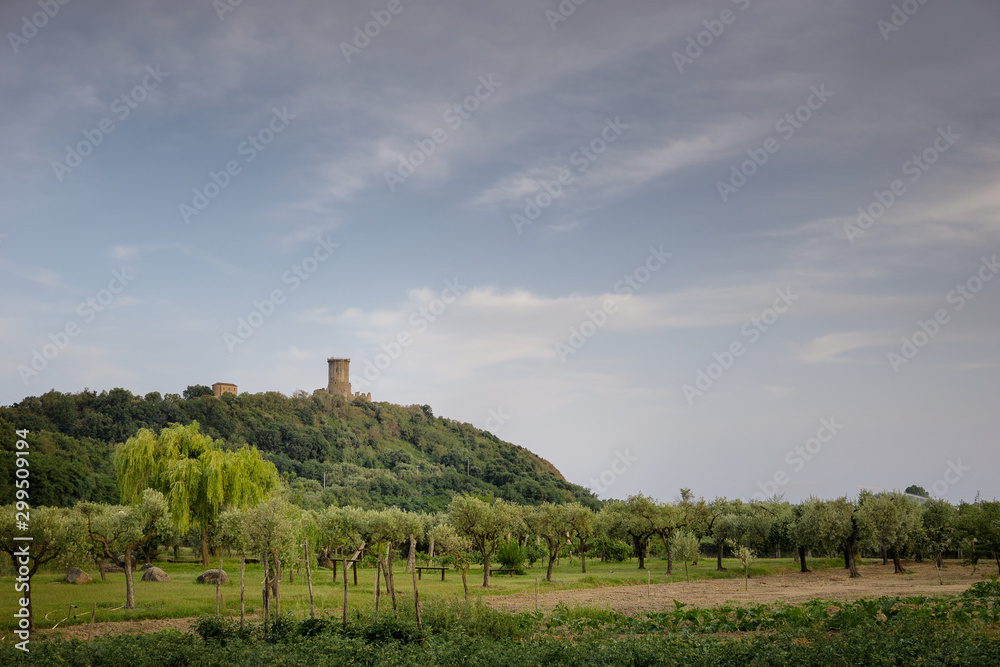  Landscape with panoramic view of the tower of Velia