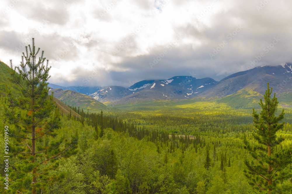 Obraz premium Mountain forest landscape under stormy sky with clouds. Khibiny mountains above the Arctic circle, Kola peninsula, Murmansk region, Russia