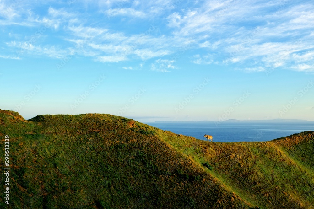 Rolling green hills as pasture land with sea at the background in a summer morning. Batanes, Philippines