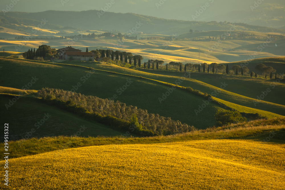 Spring in Tuscany rolling fields in Pienza Firenze Siena Italy 