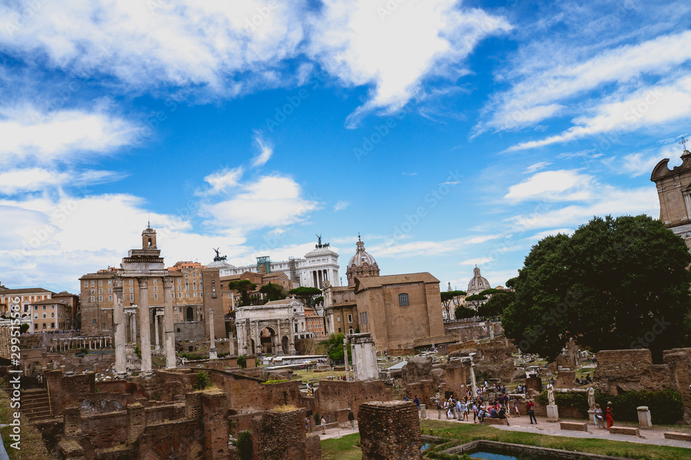Roman Forum View