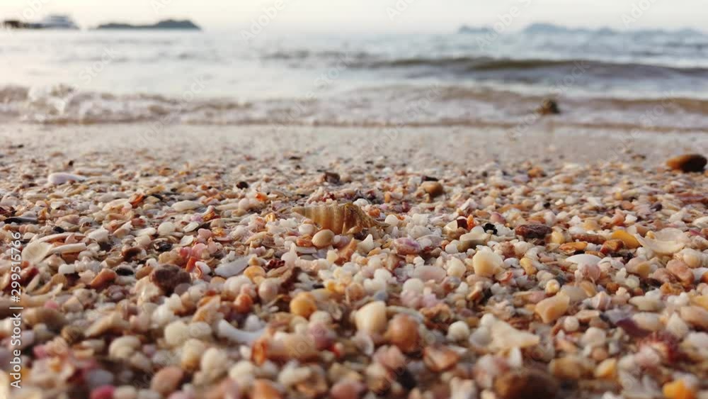 Hermit crab on sand beach. Hermit crab on sand beach.
